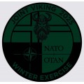 Patch - NATO Joint Viking Exercise 2025 - Green